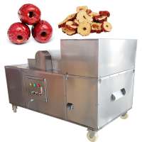 Factory Price Dry Fruit Slicer Dry Fruit Slicing Machine Dried Fruit Cutting Machine